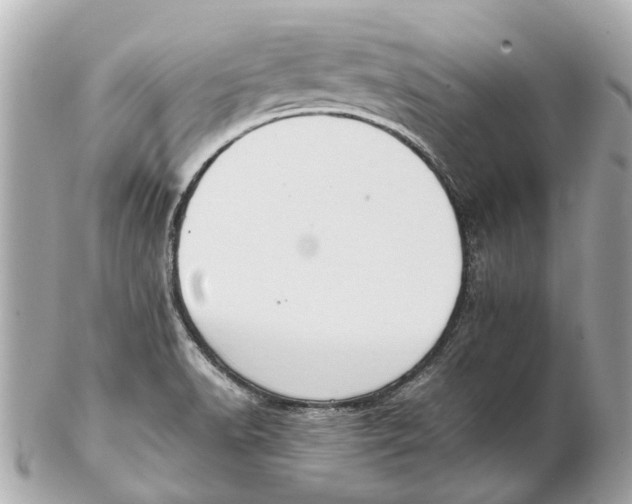 X0000102511518200808291722