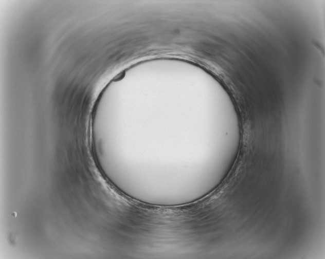 X0000102511520200808291722