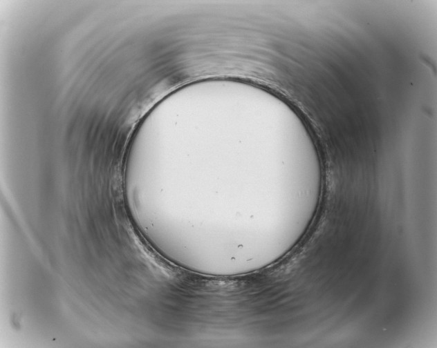 X0000102511521200808291722