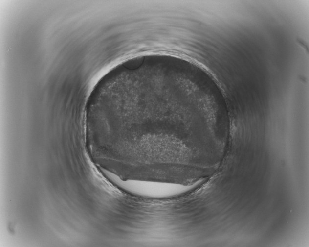 X0000102511522200808291722