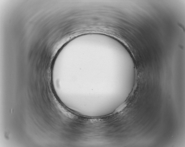 X0000102511523200808291722