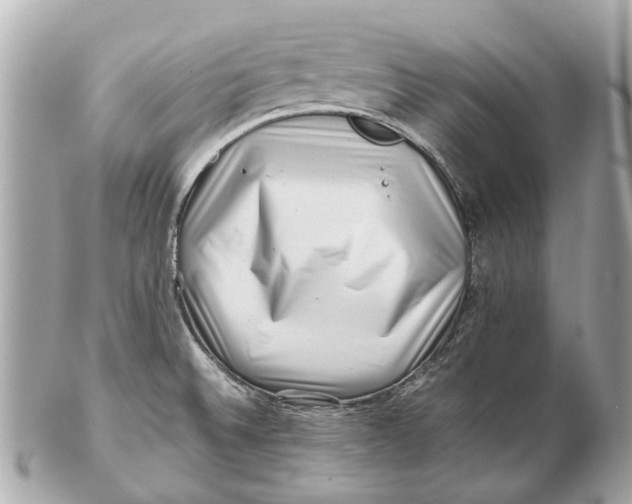 X0000102511524200808291722