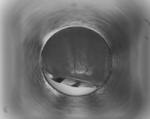 X0000102511527200808291722