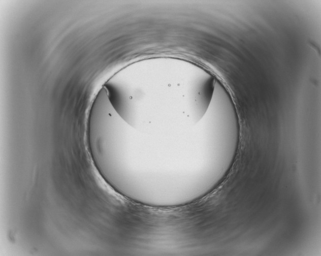 X0000102511528200808291722