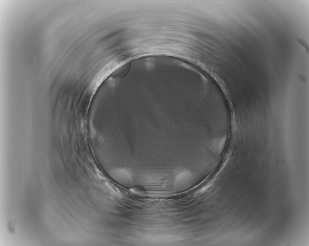 X0000102511529200808291722