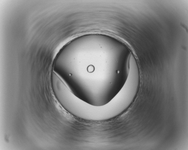 X0000102511530200808291722
