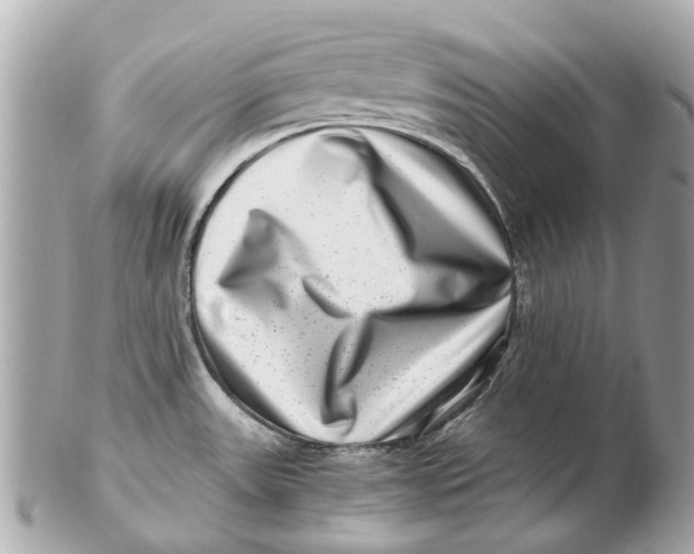 X0000102511531200808291722