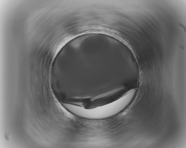 X0000102511533200808291722