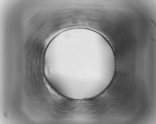 X0000102511534200808291722