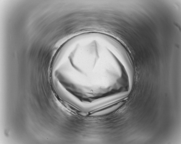 X0000102511535200808291722