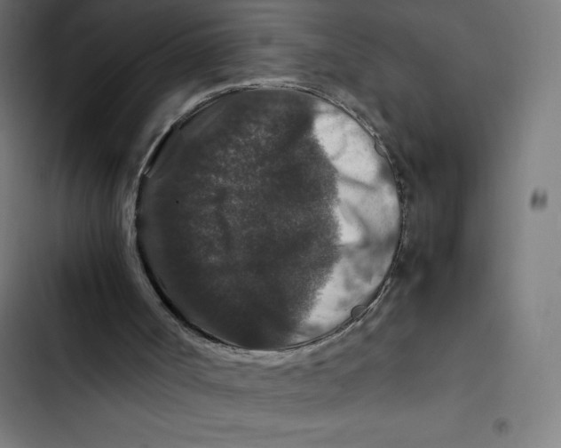 X0000102510002200809051422
