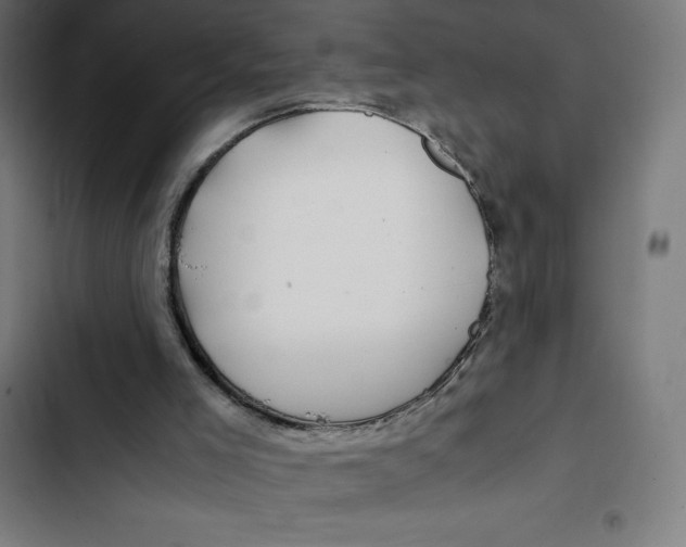 X0000102510005200809051421