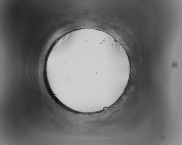 X0000102510007200809051421