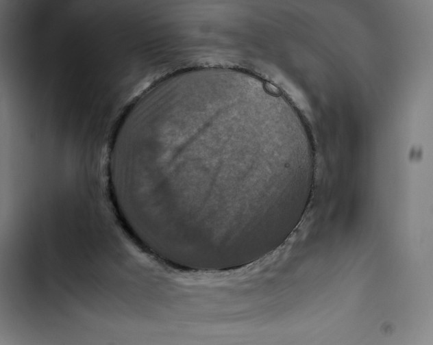 X0000102510009200809051421
