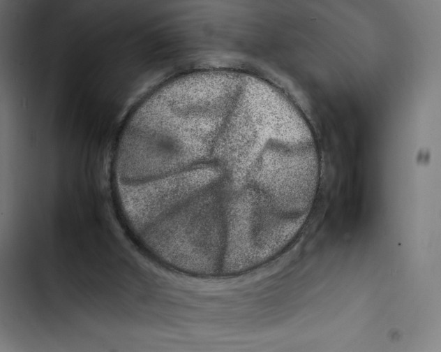 X0000102510010200809051421