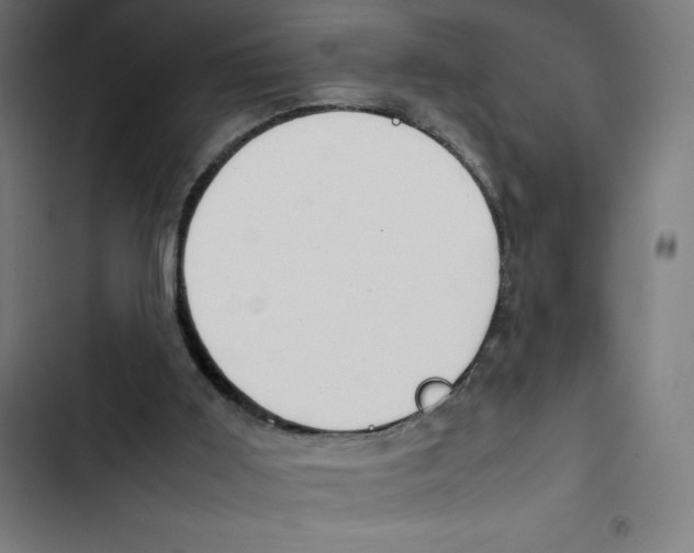X0000102510011200809051421