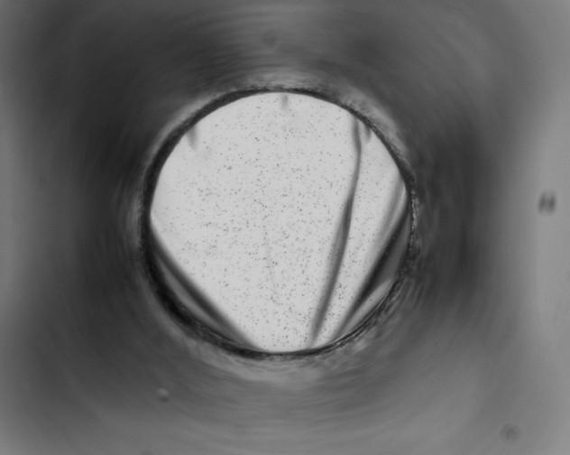 X0000102510012200809051421