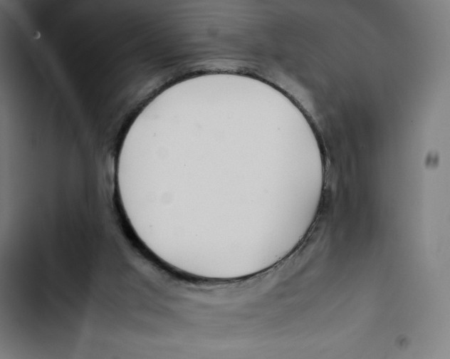X0000102510013200809051421