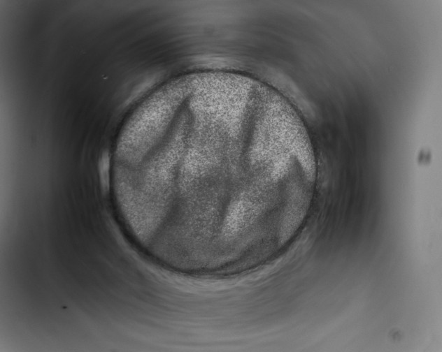 X0000102510014200809051421