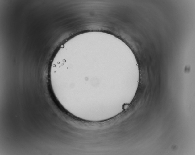 X0000102510015200809051421