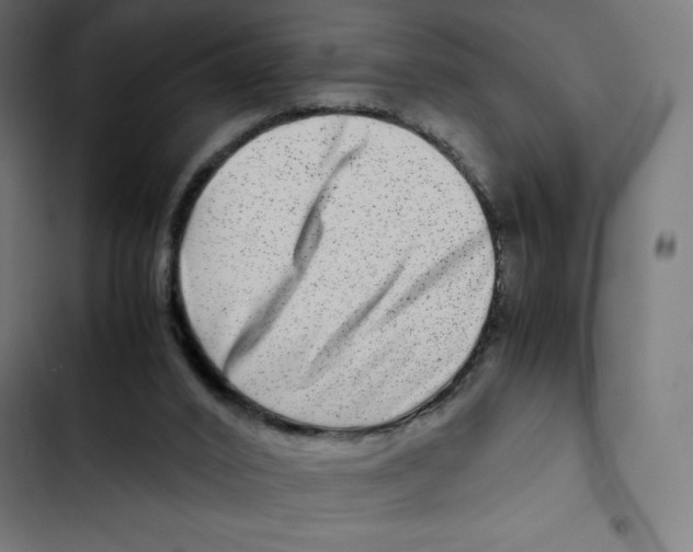 X0000102510016200809051421