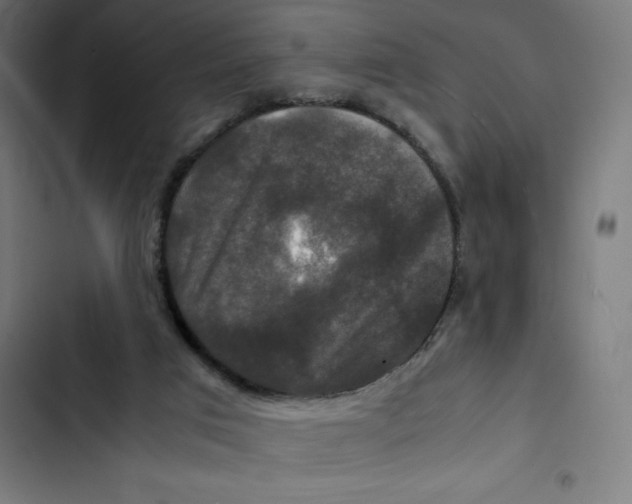 X0000102510017200809051421