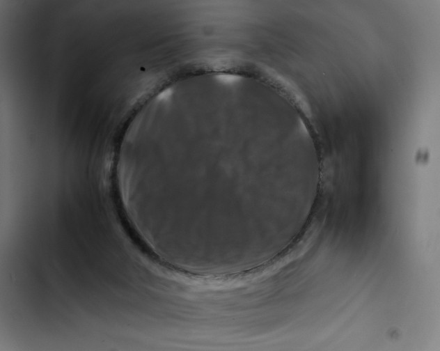 X0000102510018200809051421