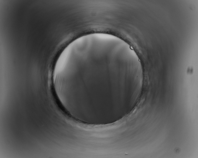 X0000102510019200809051421