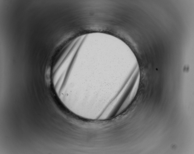 X0000102510020200809051421