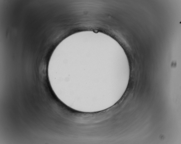 X0000102510021200809051421