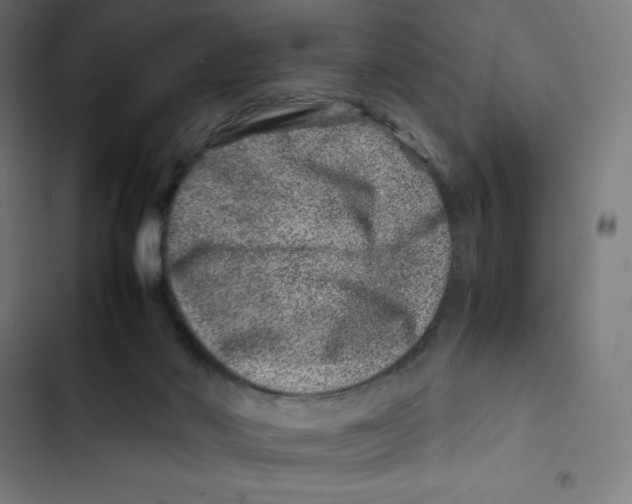 X0000102510022200809051421