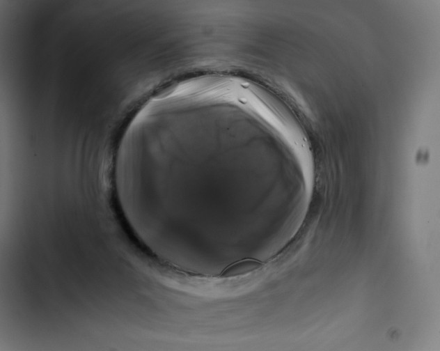 X0000102510023200809051421