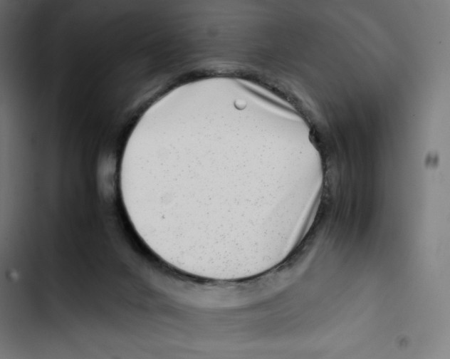 X0000102510024200809051421