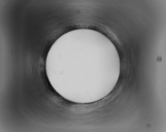 X0000102510025200809051421