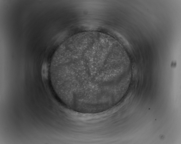 X0000102510026200809051421