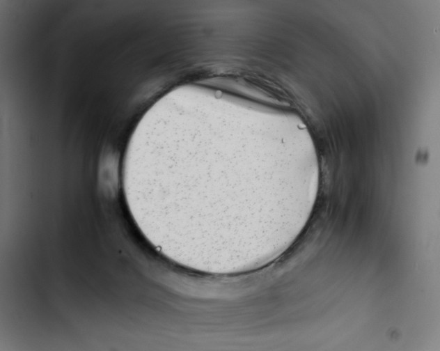 X0000102510028200809051421