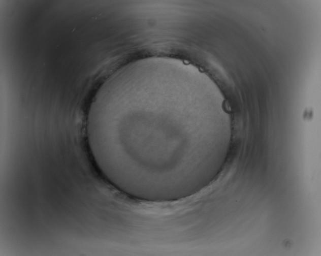 X0000102510029200809051421