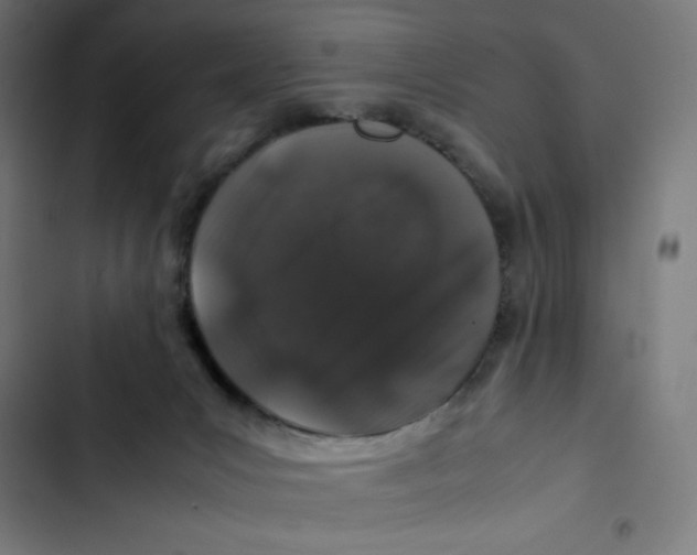 X0000102510031200809051421