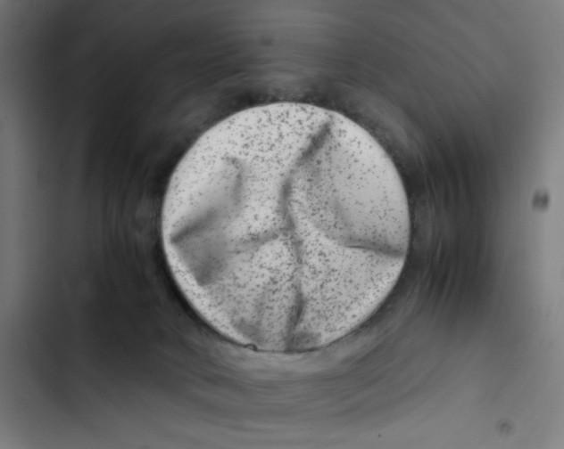 X0000102510034200809051421