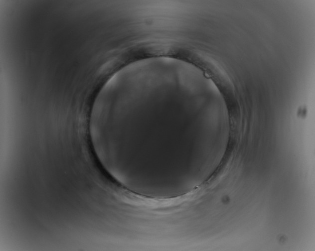 X0000102510035200809051421