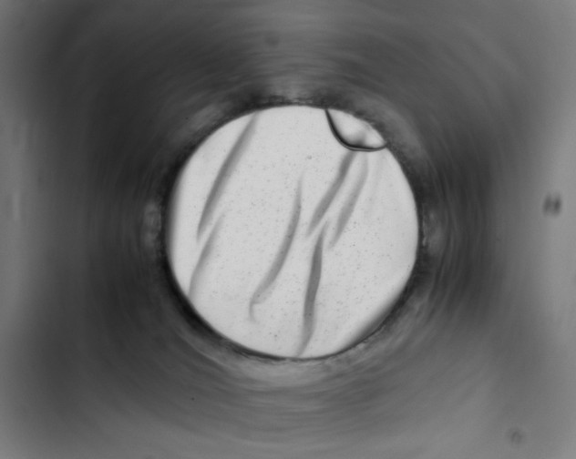 X0000102510036200809051421