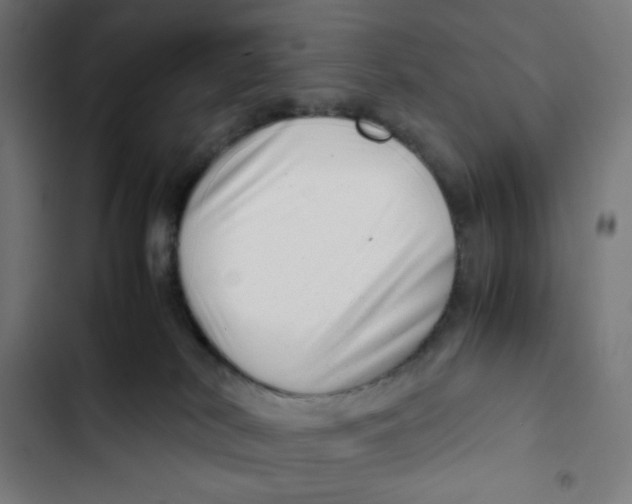 X0000102510038200809051421