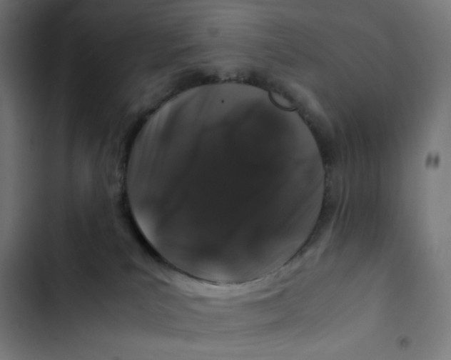X0000102510039200809051421