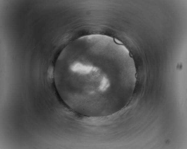 X0000102510041200809051421