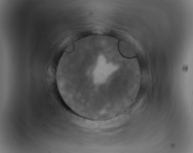 X0000102510043200809051421