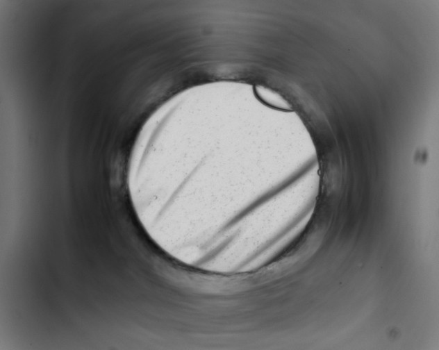 X0000102510044200809051421