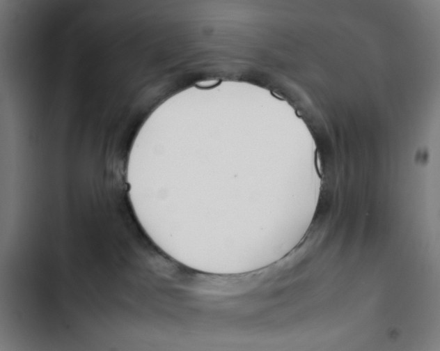 X0000102510045200809051421