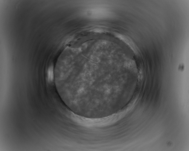 X0000102510046200809051421