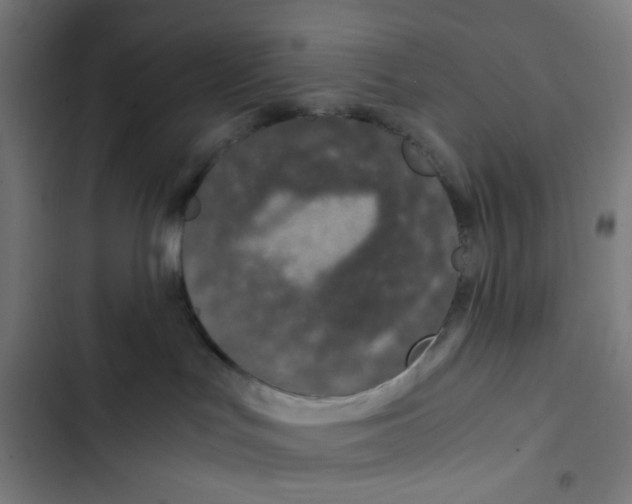 X0000102510047200809051421