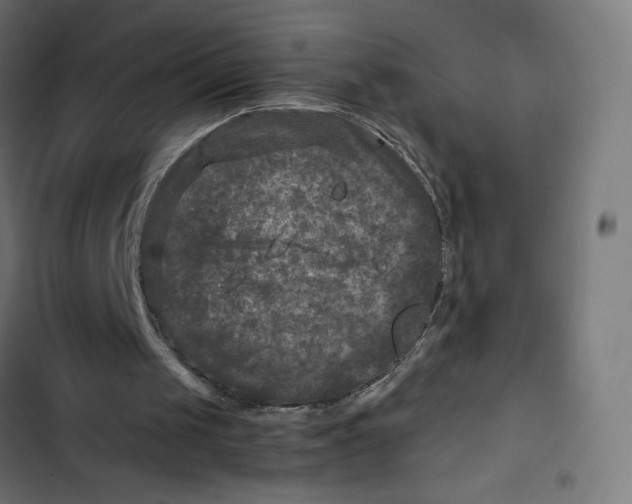 X0000102510049200809051420